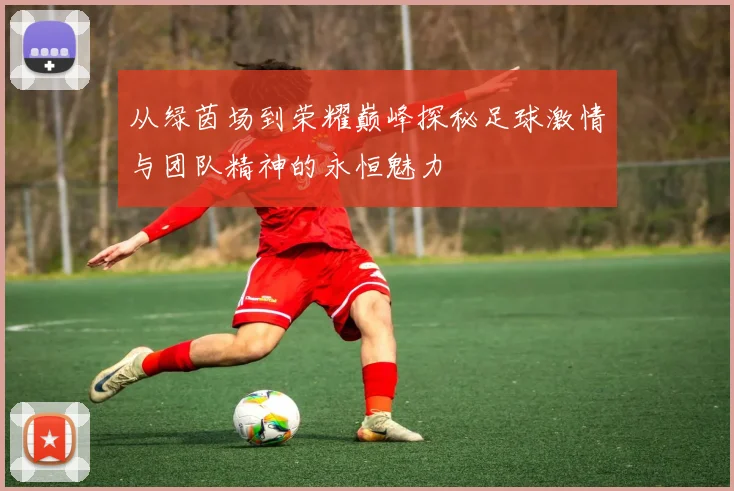 从绿茵场到荣耀巅峰探秘足球激情与团队精神的永恒魅力
