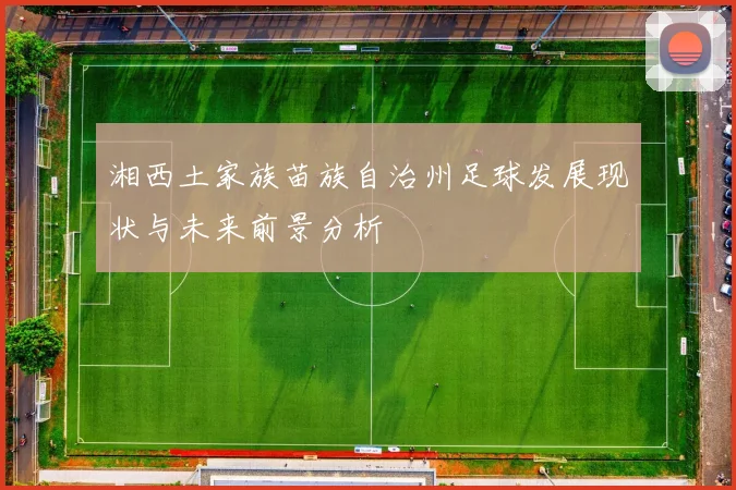 湘西土家族苗族自治州足球发展现状与未来前景分析