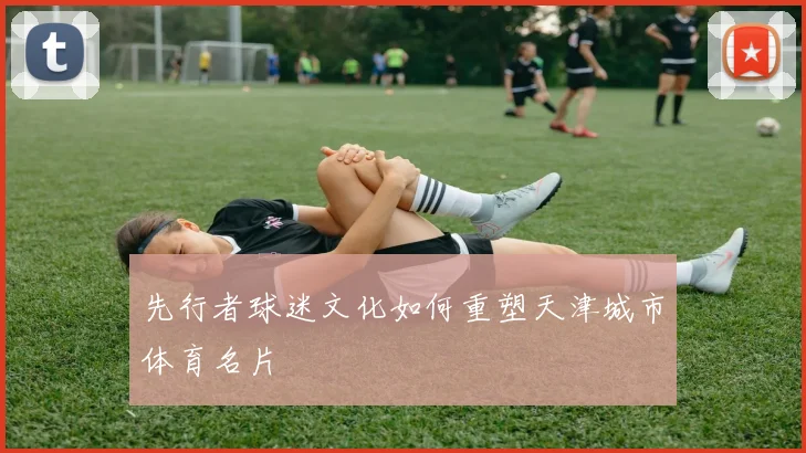 先行者球迷文化如何重塑天津城市体育名片