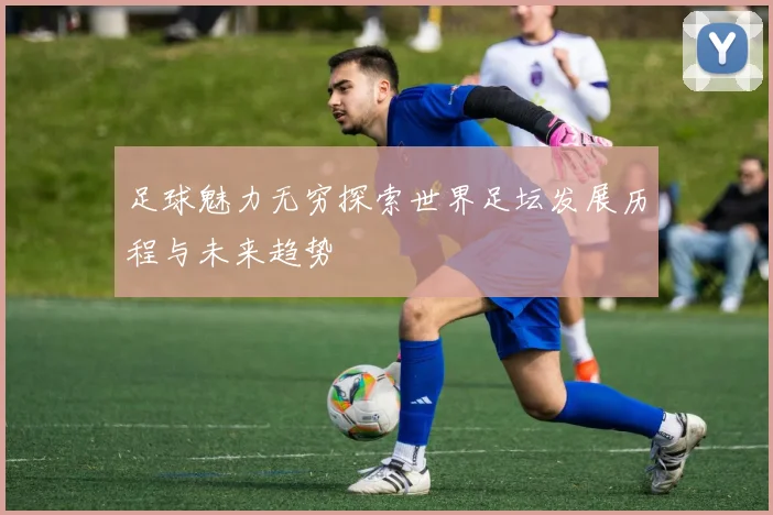 足球魅力无穷探索世界足坛发展历程与未来趋势