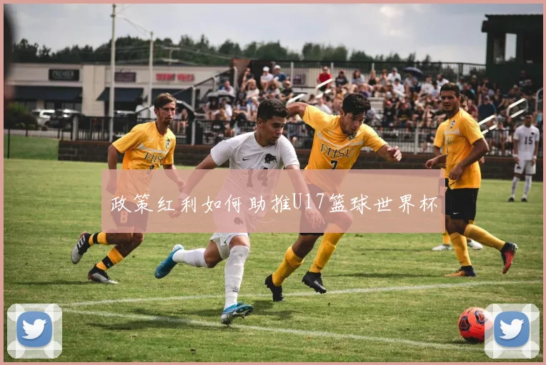 政策红利如何助推U17篮球世界杯