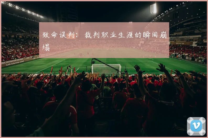 致命误判：裁判职业生涯的瞬间崩塌