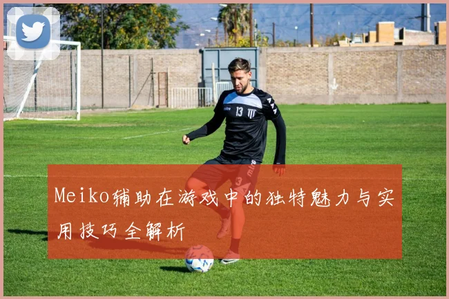 Meiko辅助在游戏中的独特魅力与实用技巧全解析